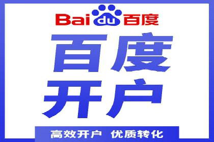 SEM广告投放策略：成功案例解析